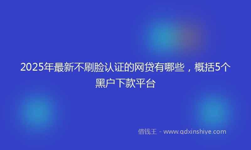 2025年最新不刷脸认证的网贷有哪些，概括5个黑户下款平台