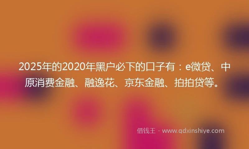 2025年的2020年黑户必下的口子有：e微贷、中原消费金融、融逸花、京东金融、拍拍贷等。