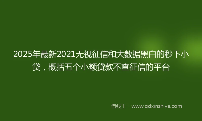 2025年最新2021无视征信和大数据黑白的秒下小贷，概括五个小额贷款不查征信的平台