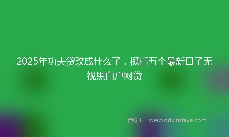 2025年功夫贷改成什么了，概括五个最新口子无视黑白户网贷