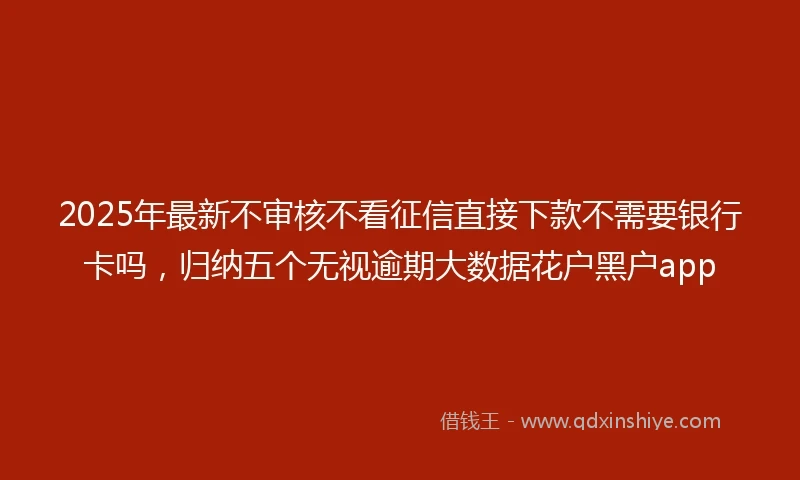 2025年最新不审核不看征信直接下款不需要银行卡吗，归纳五个无视逾期大数据花户黑户app