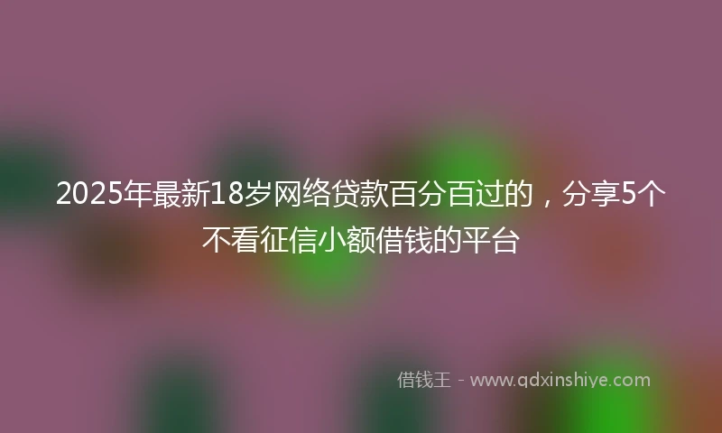 2025年最新18岁网络贷款百分百过的，分享5个不看征信小额借钱的平台