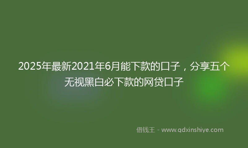 2025年最新2021年6月能下款的口子，分享五个无视黑白必下款的网贷口子