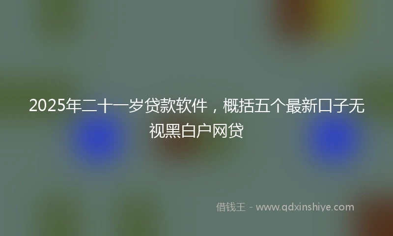 2025年二十一岁贷款软件，概括五个最新口子无视黑白户网贷