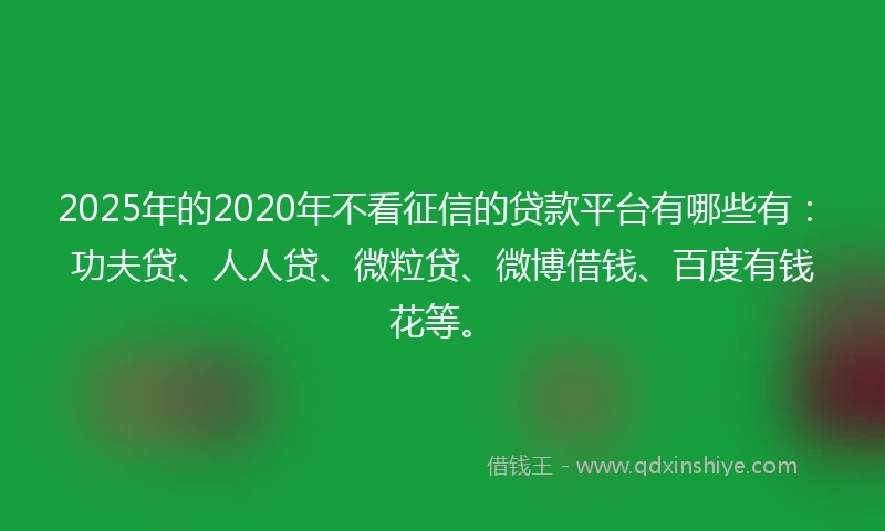 2025年的2020年不看征信的贷款平台有哪些有：功夫贷、人人贷、微粒贷、微博借钱、百度有钱花等。