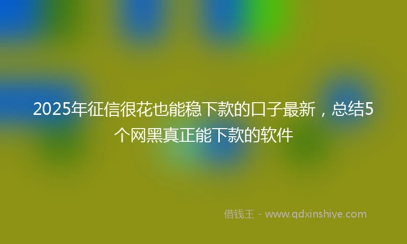 2025年征信很花也能稳下款的口子最新，总结5个网黑真正能下款的软件