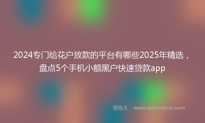 2024专门给花户放款的平台有哪些2025年精选，盘点5个手机小额黑户快速贷款app