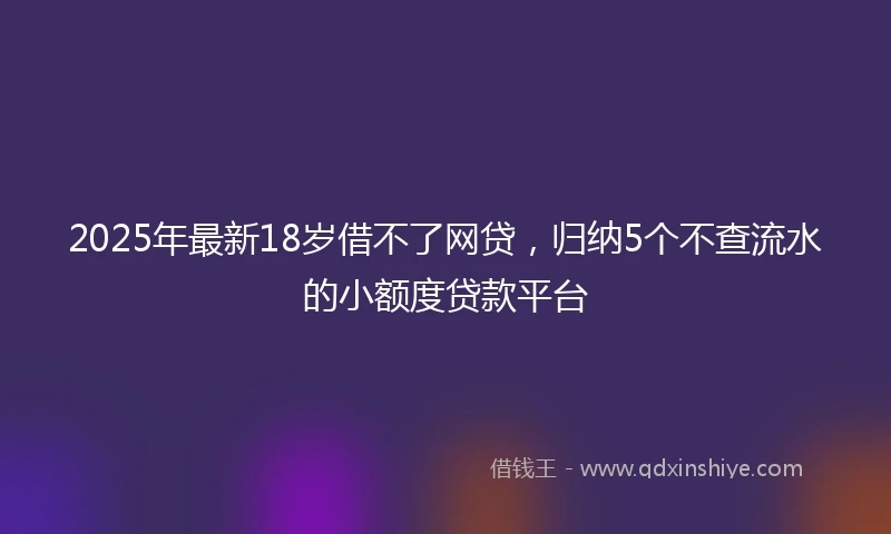 2025年最新18岁借不了网贷，归纳5个不查流水的小额度贷款平台
