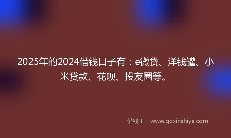 2025年的2024借钱口子有：e微贷、洋钱罐、小米贷款、花呗、投友圈等。