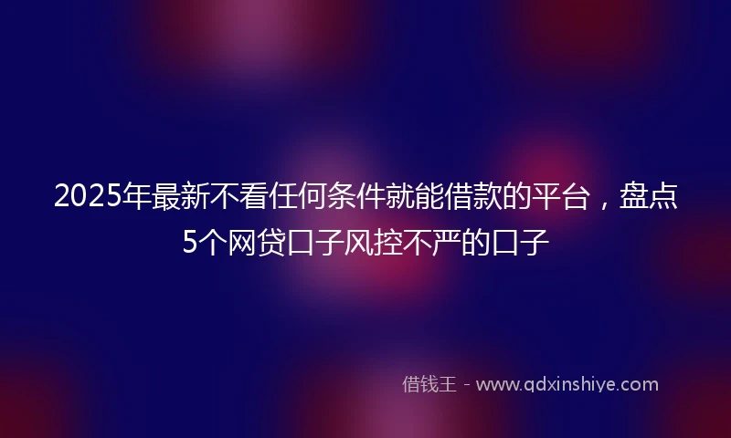 2025年最新不看任何条件就能借款的平台，盘点5个网贷口子风控不严的口子