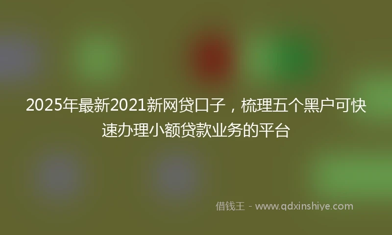2025年最新2021新网贷口子，梳理五个黑户可快速办理小额贷款业务的平台