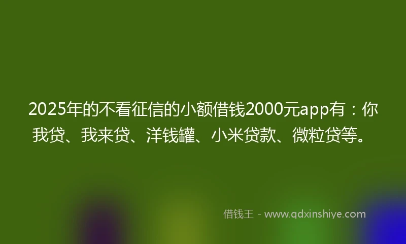 2025年的不看征信的小额借钱2000元app有：你我贷、我来贷、洋钱罐、小米贷款、微粒贷等。