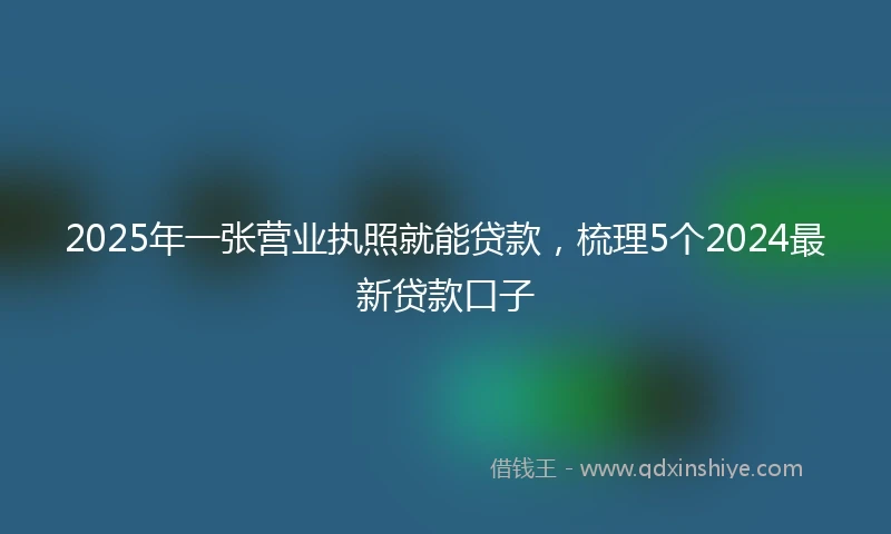 2025年一张营业执照就能贷款，梳理5个2024最新贷款口子