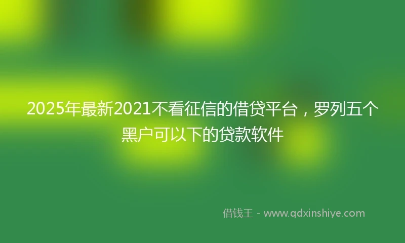 2025年最新2021不看征信的借贷平台，罗列五个黑户可以下的贷款软件