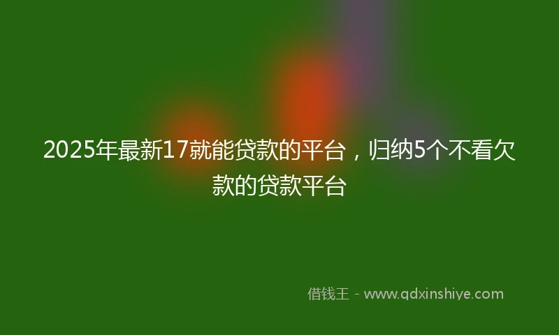 2025年最新17就能贷款的平台，归纳5个不看欠款的贷款平台