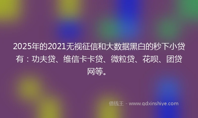 2025年的2021无视征信和大数据黑白的秒下小贷有：功夫贷、维信卡卡贷、微粒贷、花呗、团贷网等。