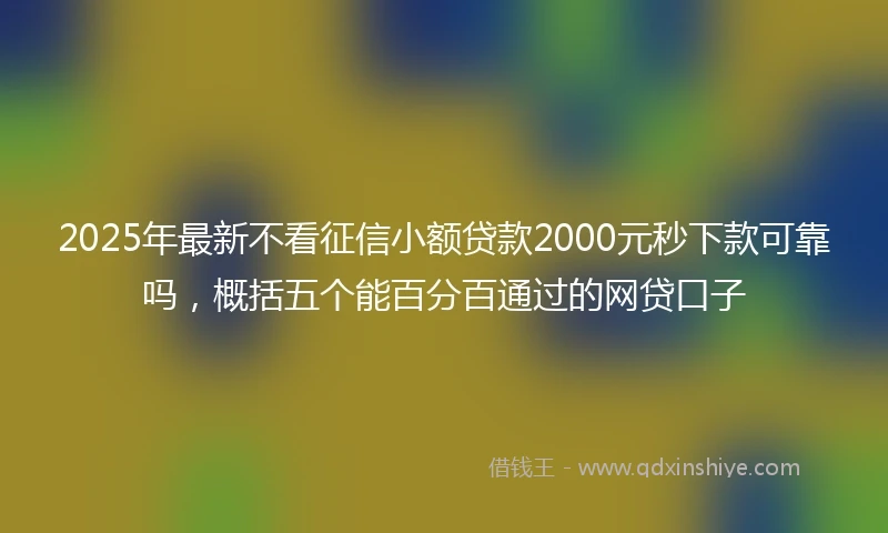 2025年最新不看征信小额贷款2000元秒下款可靠吗，概括五个能百分百通过的网贷口子