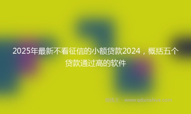 2025年最新不看征信的小额贷款2024，概括五个贷款通过高的软件