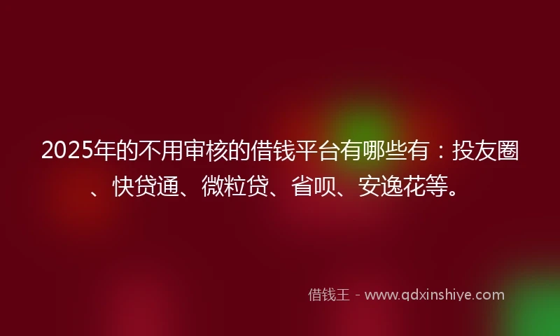 2025年的不用审核的借钱平台有哪些有：投友圈、快贷通、微粒贷、省呗、安逸花等。