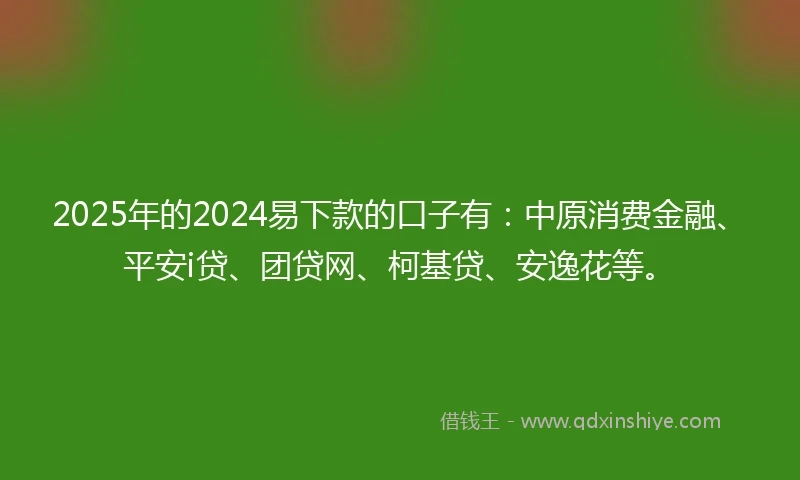 2025年的2024易下款的口子有：中原消费金融、平安i贷、团贷网、柯基贷、安逸花等。