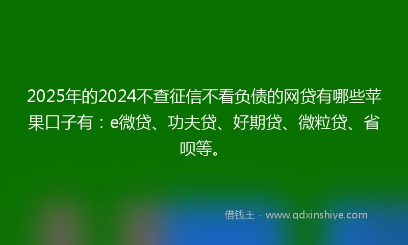2025年的2024不查征信不看负债的网贷有哪些苹果口子有：e微贷、功夫贷、好期贷、微粒贷、省呗等。