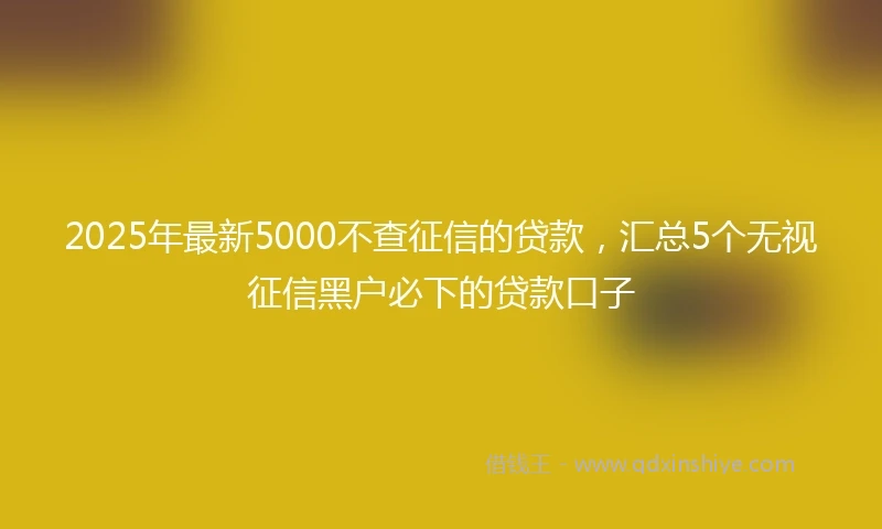 2025年最新5000不查征信的贷款，汇总5个无视征信黑户必下的贷款口子