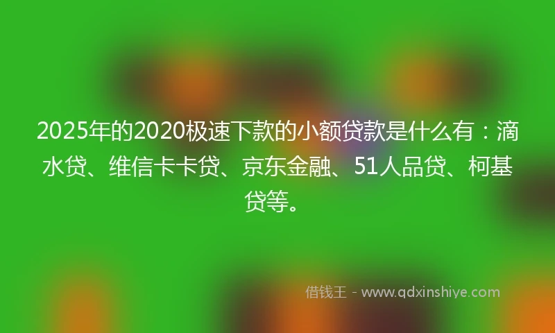 2025年的2020极速下款的小额贷款是什么有：滴水贷、维信卡卡贷、京东金融、51人品贷、柯基贷等。