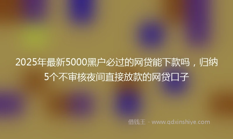 2025年最新5000黑户必过的网贷能下款吗，归纳5个不审核夜间直接放款的网贷口子