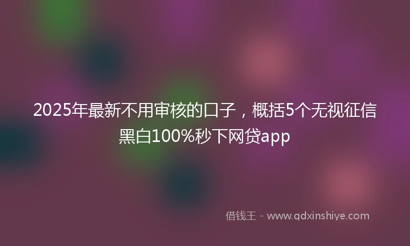 2025年最新不用审核的口子，概括5个无视征信黑白100%秒下网贷app