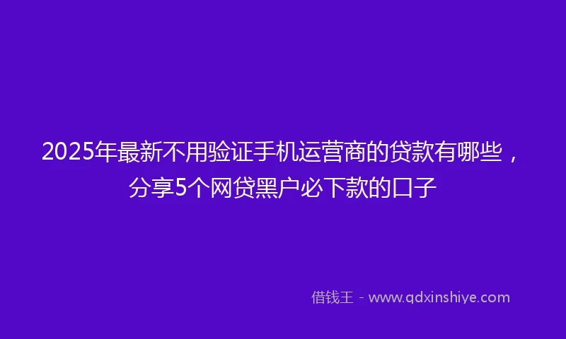 2025年最新不用验证手机运营商的贷款有哪些，分享5个网贷黑户必下款的口子