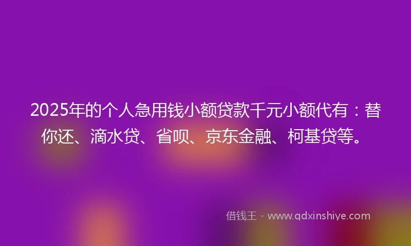 2025年的个人急用钱小额贷款千元小额代有：替你还、滴水贷、省呗、京东金融、柯基贷等。
