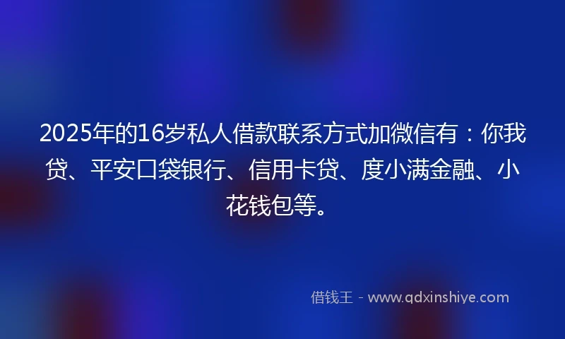 2025年的16岁私人借款联系方式加微信有：你我贷、平安口袋银行、信用卡贷、度小满金融、小花钱包等。