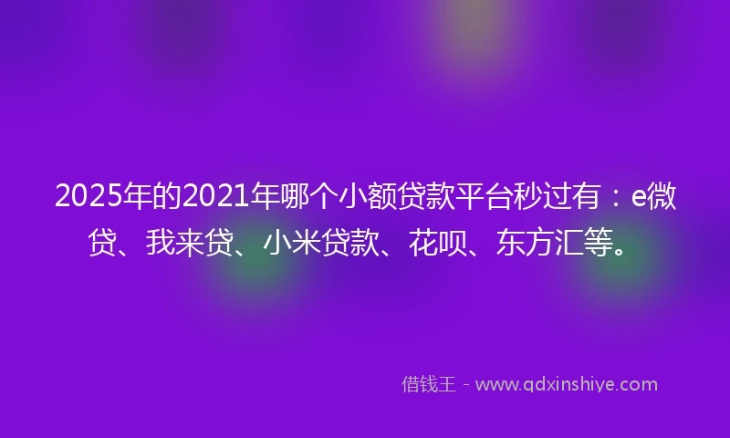 2025年的2021年哪个小额贷款平台秒过有：e微贷、我来贷、小米贷款、花呗、东方汇等。