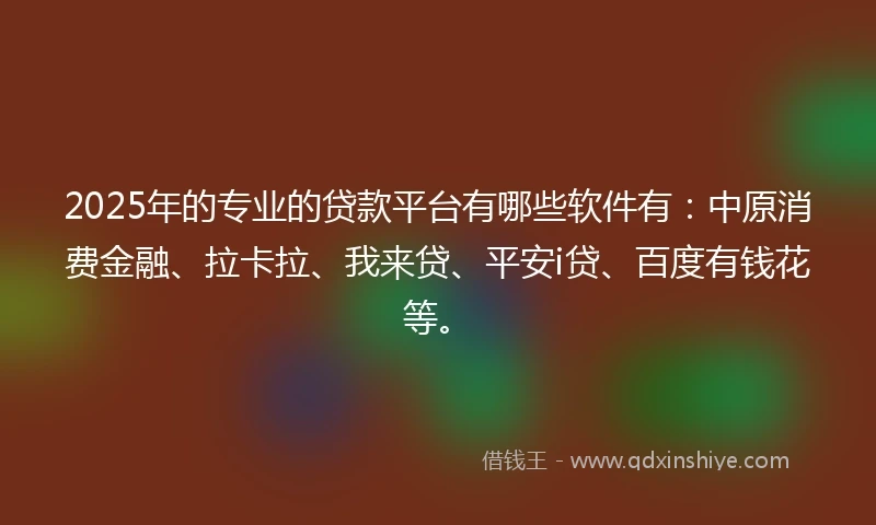 2025年的专业的贷款平台有哪些软件有：中原消费金融、拉卡拉、我来贷、平安i贷、百度有钱花等。