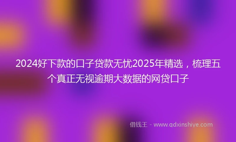2024好下款的口子贷款无忧2025年精选，梳理五个真正无视逾期大数据的网贷口子