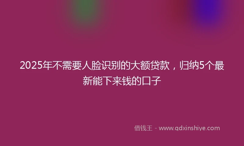 2025年不需要人脸识别的大额贷款，归纳5个最新能下来钱的口子
