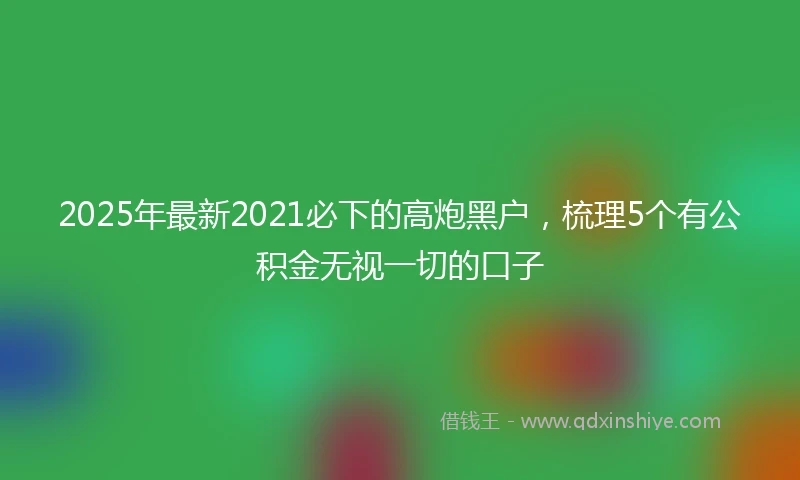 2025年最新2021必下的高炮黑户,梳理5个有公积金无视一切的口子