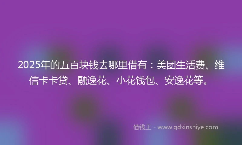 2025年的五百块钱去哪里借有：美团生活费、维信卡卡贷、融逸花、小花钱包、安逸花等。