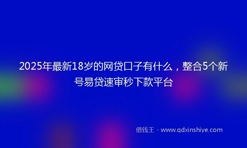 2025年最新18岁的网贷口子有什么，整合5个新号易贷速审秒下款平台