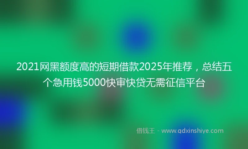 2021网黑额度高的短期借款2025年推荐，总结五个急用钱5000快审快贷无需征信平台