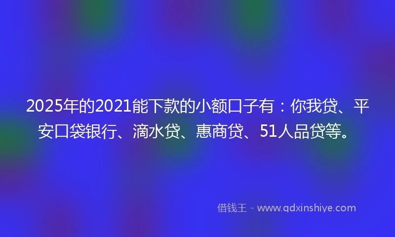 2025年的2021能下款的小额口子有：你我贷、平安口袋银行、滴水贷、惠商贷、51人品贷等。