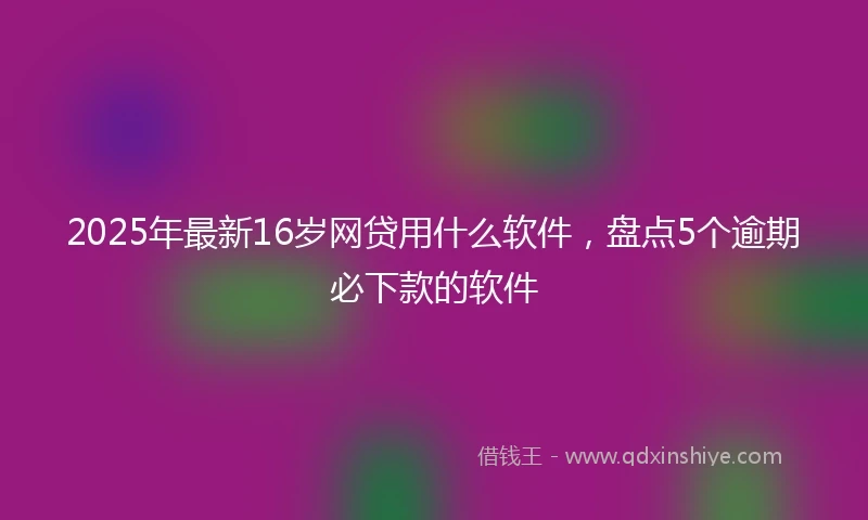 2025年最新16岁网贷用什么软件，盘点5个逾期必下款的软件