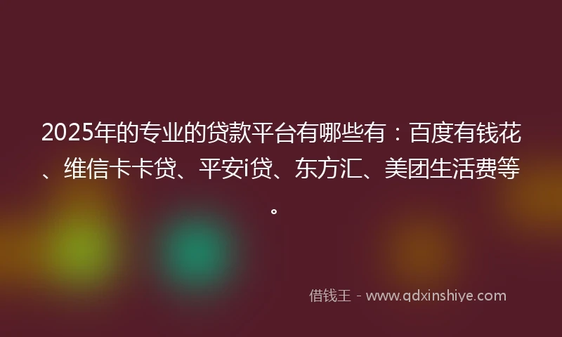 2025年的专业的贷款平台有哪些有：百度有钱花、维信卡卡贷、平安i贷、东方汇、美团生活费等。