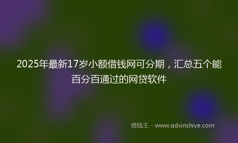 2025年最新17岁小额借钱网可分期，汇总五个能百分百通过的网贷软件