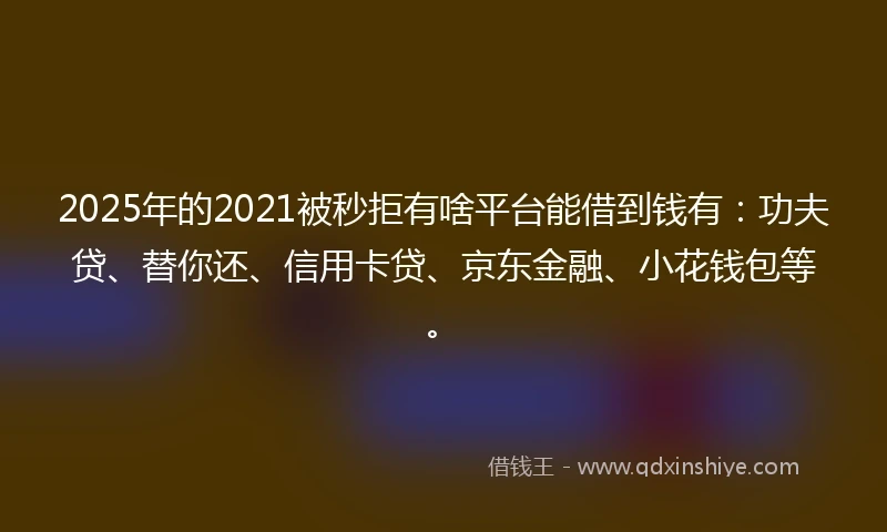 2025年的2021被秒拒有啥平台能借到钱有：功夫贷、替你还、信用卡贷、京东金融、小花钱包等。