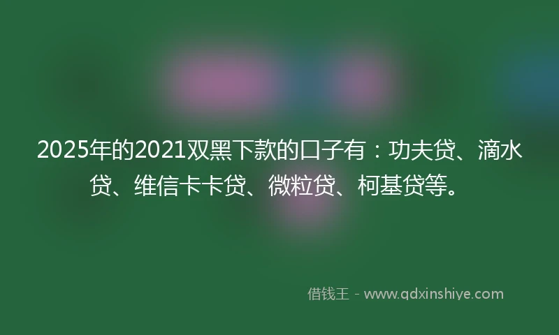 2025年的2021双黑下款的口子有：功夫贷、滴水贷、维信卡卡贷、微粒贷、柯基贷等。