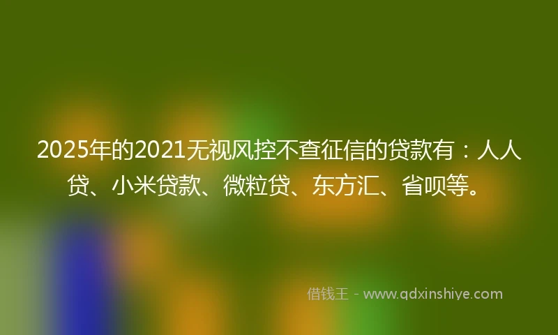 2025年的2021无视风控不查征信的贷款有：人人贷、小米贷款、微粒贷、东方汇、省呗等。