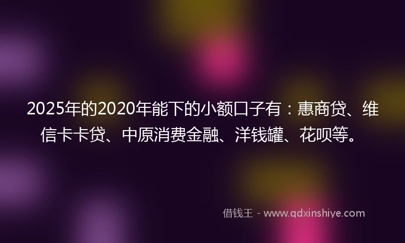 2025年的2020年能下的小额口子有：惠商贷、维信卡卡贷、中原消费金融、洋钱罐、花呗等。