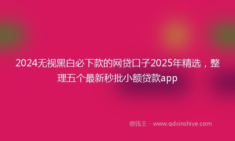 2024无视黑白必下款的网贷口子2025年精选，整理五个最新秒批小额贷款app