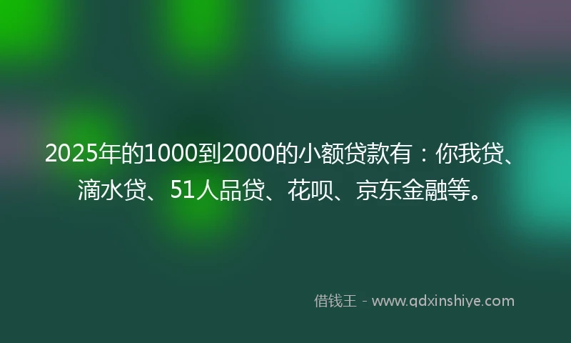 2025年的1000到2000的小额贷款有：你我贷、滴水贷、51人品贷、花呗、京东金融等。